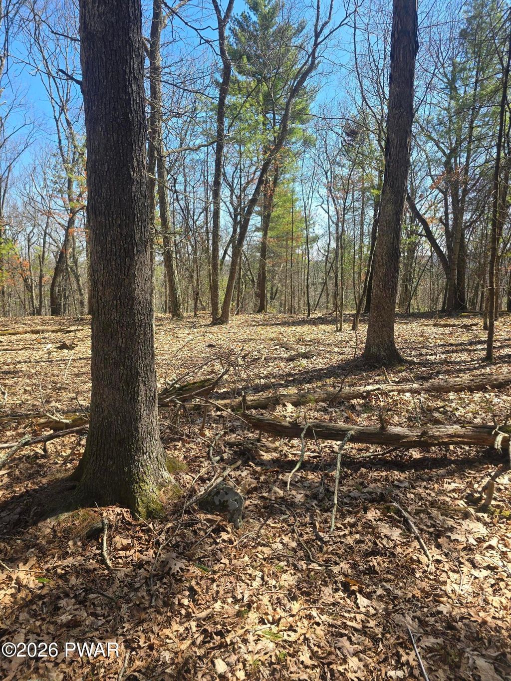 Photo of 109 Autumn Court, Hawley, PA 18428 (MLS # PW260872)