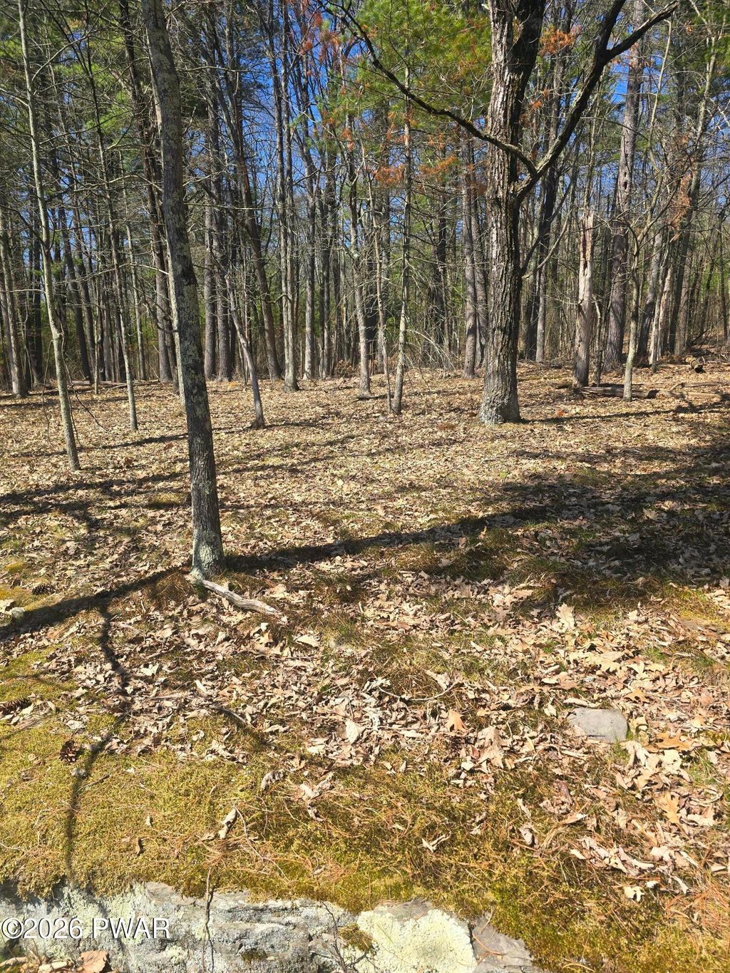 Photo of 109 Autumn Court, Hawley, PA 18428 (MLS # PW260872)