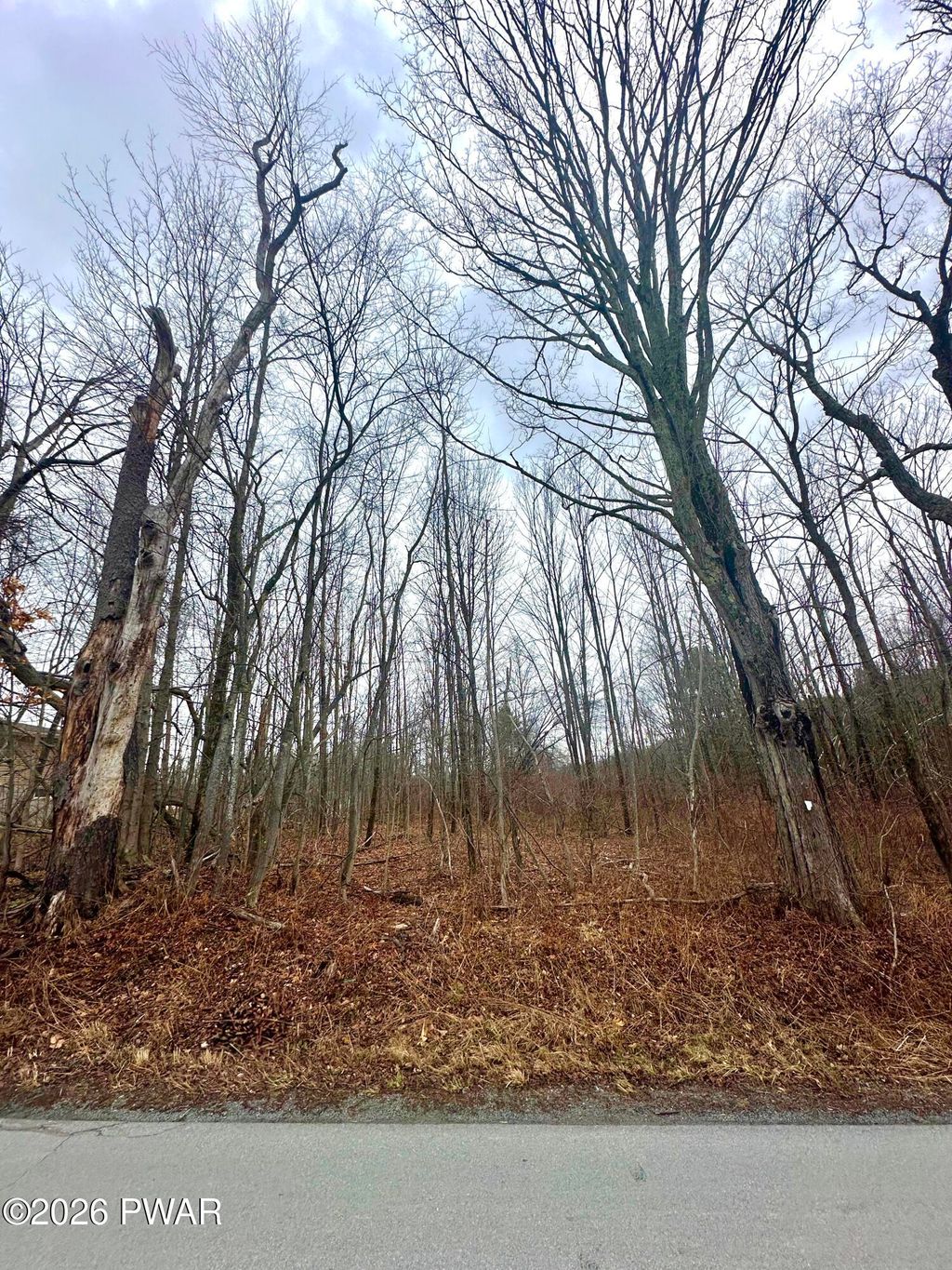 Photo of Hitchcock Road, Jefferson Township, PA 18436 (MLS # PW260522)