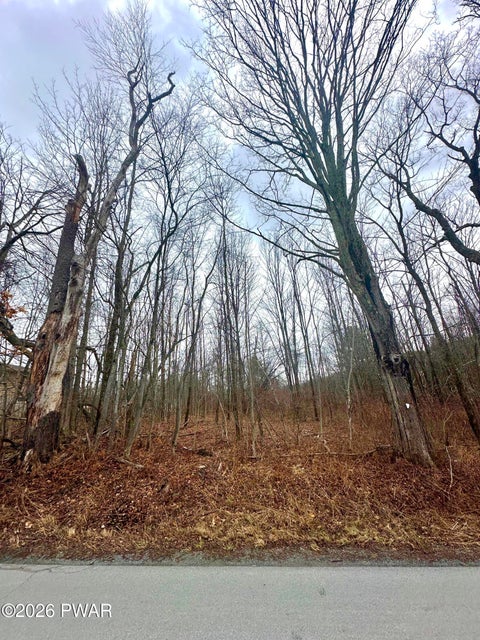 Vacant Land For Sale - Hitchcock Road<br/> Jefferson Township, PA 18436