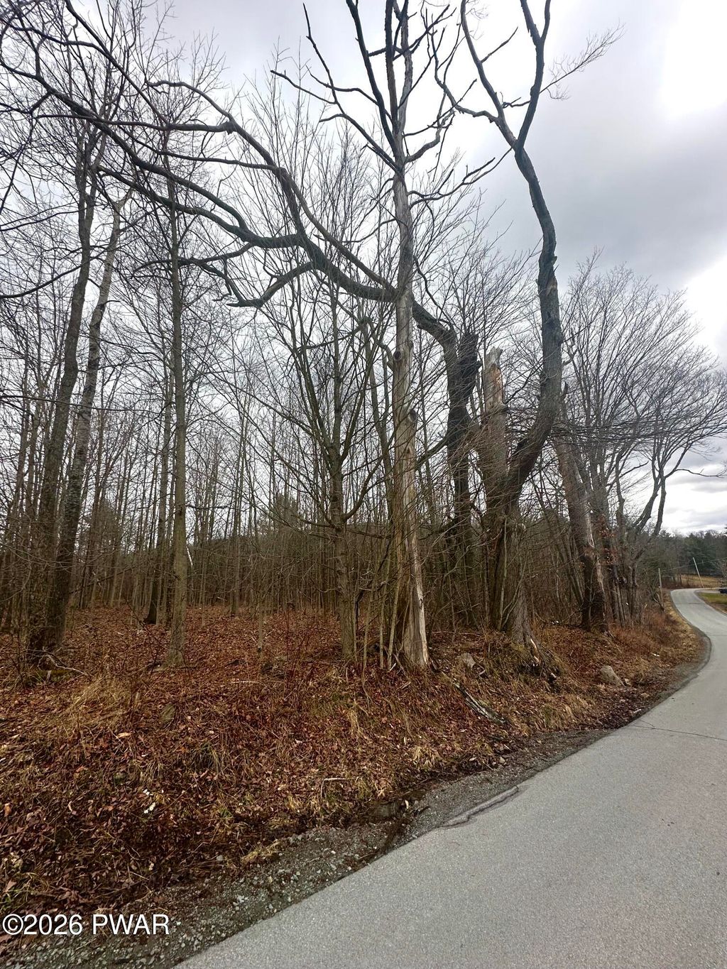 Photo of Hitchcock Road, Jefferson Township, PA 18436 (MLS # PW260522)
