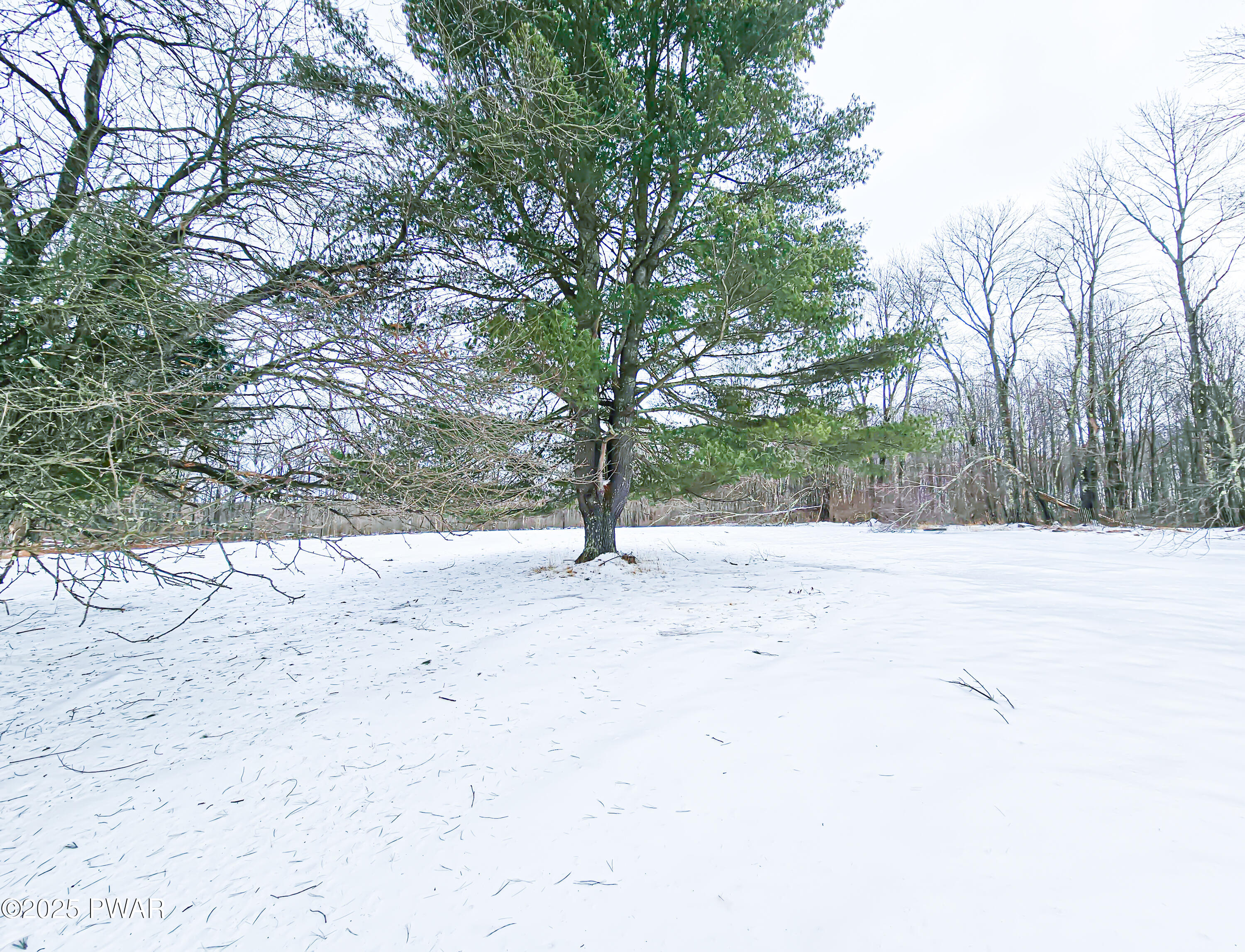 46 Shale Road, Beach Lake, Pennsylvania image 11
