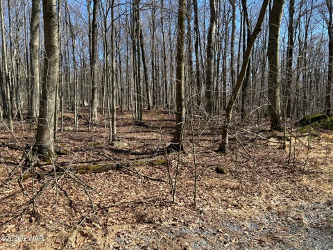 Vacant Land For Sale - LOT 2230R Saw Mill Road<br/> Greentown, PA 18426