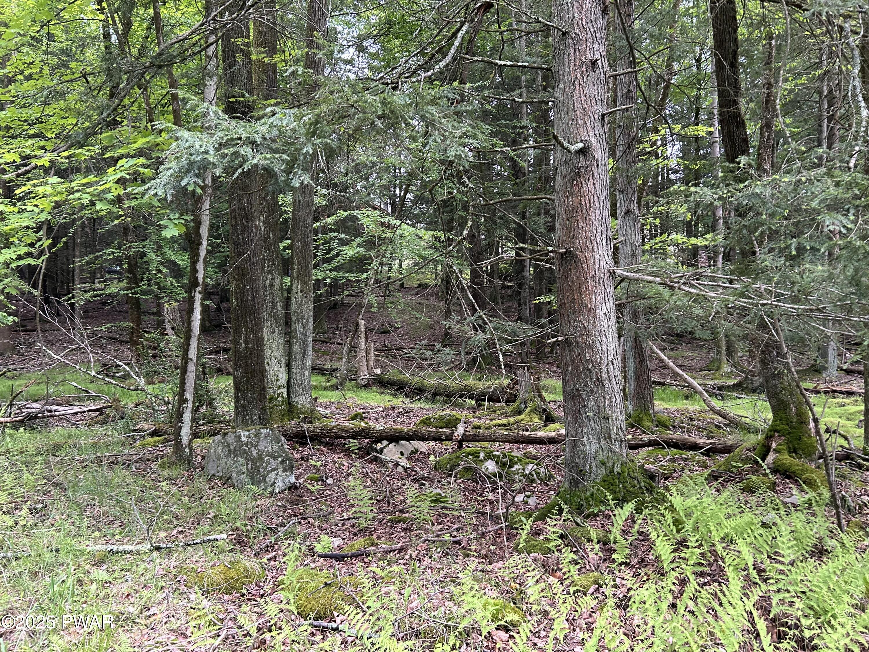 Lot 16 Orion Way, Lake Ariel, Pennsylvania image 3