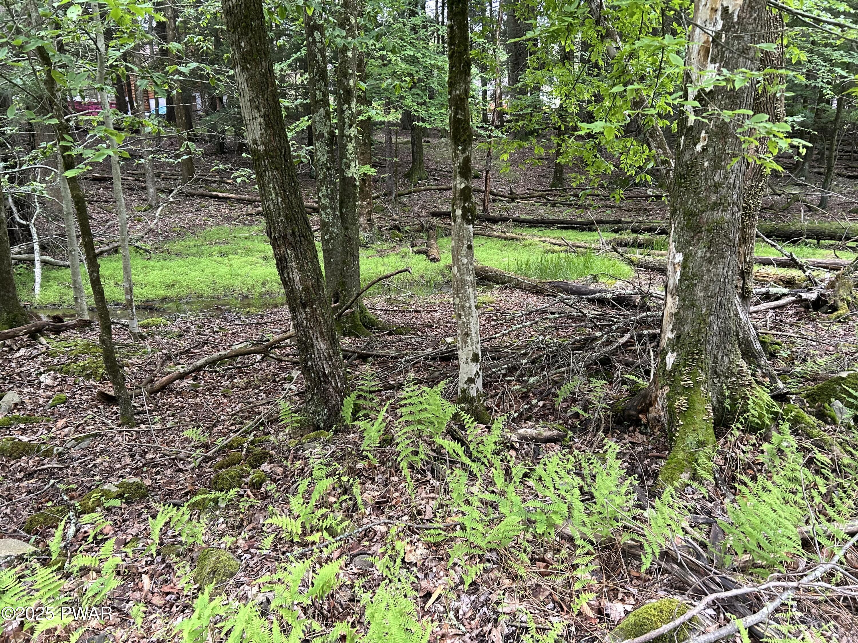 Lot 16 Orion Way, Lake Ariel, Pennsylvania image 5