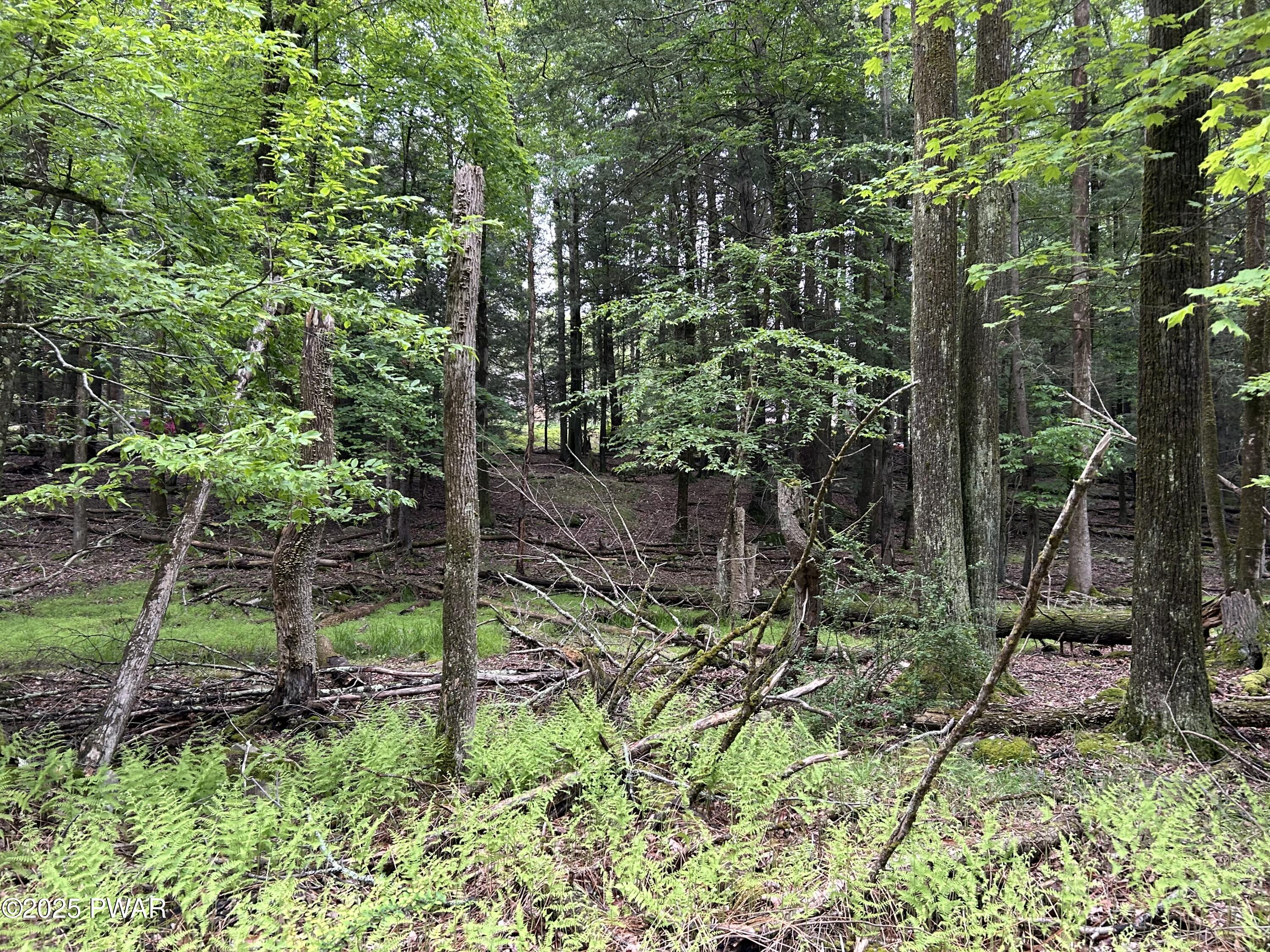 Lot 16 Orion Way, Lake Ariel, Pennsylvania image 7