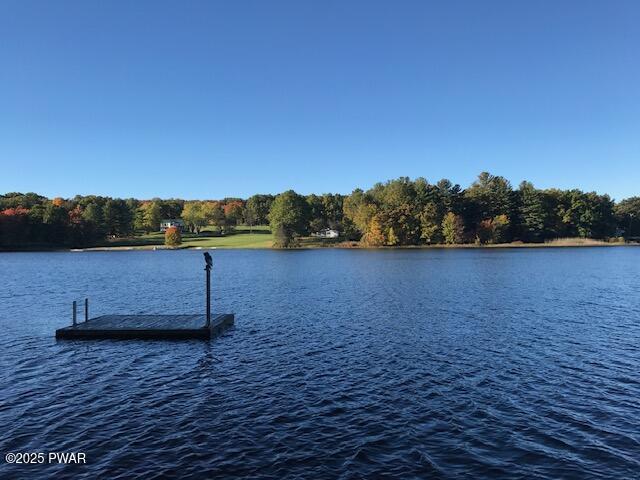 Lot 6 Briarwood Trail, Beach Lake, Pennsylvania image 2