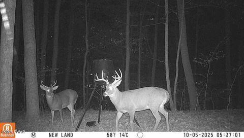 Vacant Land For Sale - 4 5 6 7 Secluded Lake Road<br/> Newfoundland, PA 18445