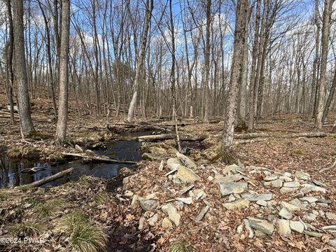Vacant Land For Sale - Dwarfskill Court<br/> Pike County, Milford, PA 18337