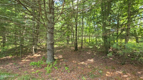 Vacant Land For Sale - LOT 542 Weasel Road<br/> Dingmans Ferry, PA 18328