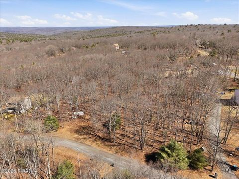 Vacant Land For Sale - 135 Hedgehollow Court<br/> Pike County, Greeley, PA 18425