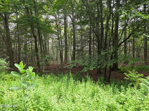 Vacant Land For Sale - LOT113-116 Arthur Drive<br/> Newfoundland, PA 18445