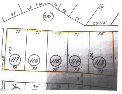 Vacant Land For Sale - LOT113-117 Arthur Drive<br/> Newfoundland, PA 18445