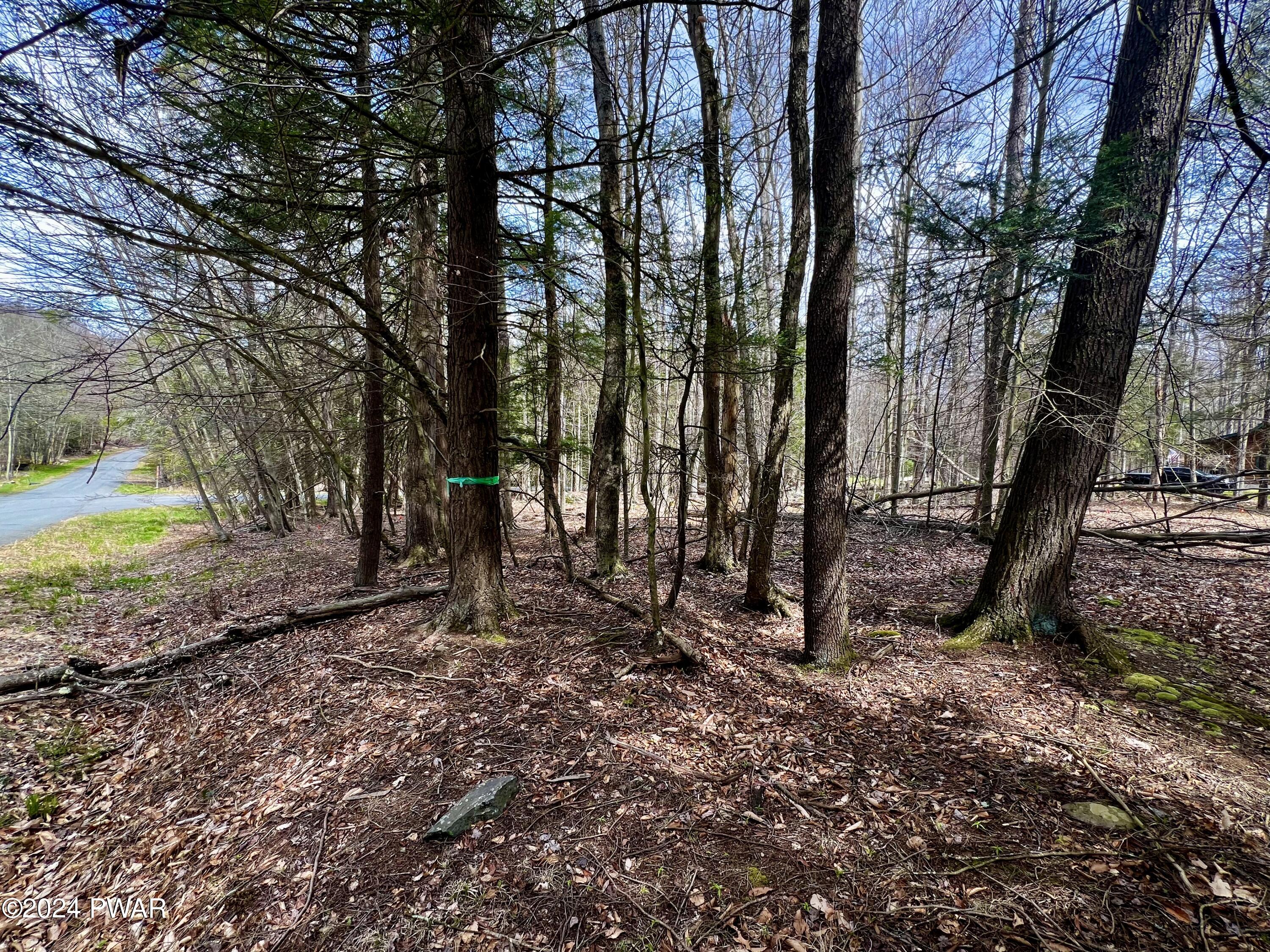 Lot 826 Fawn Rd And Lot 824 Pine Creek Road, Hawley, Pennsylvania image 4