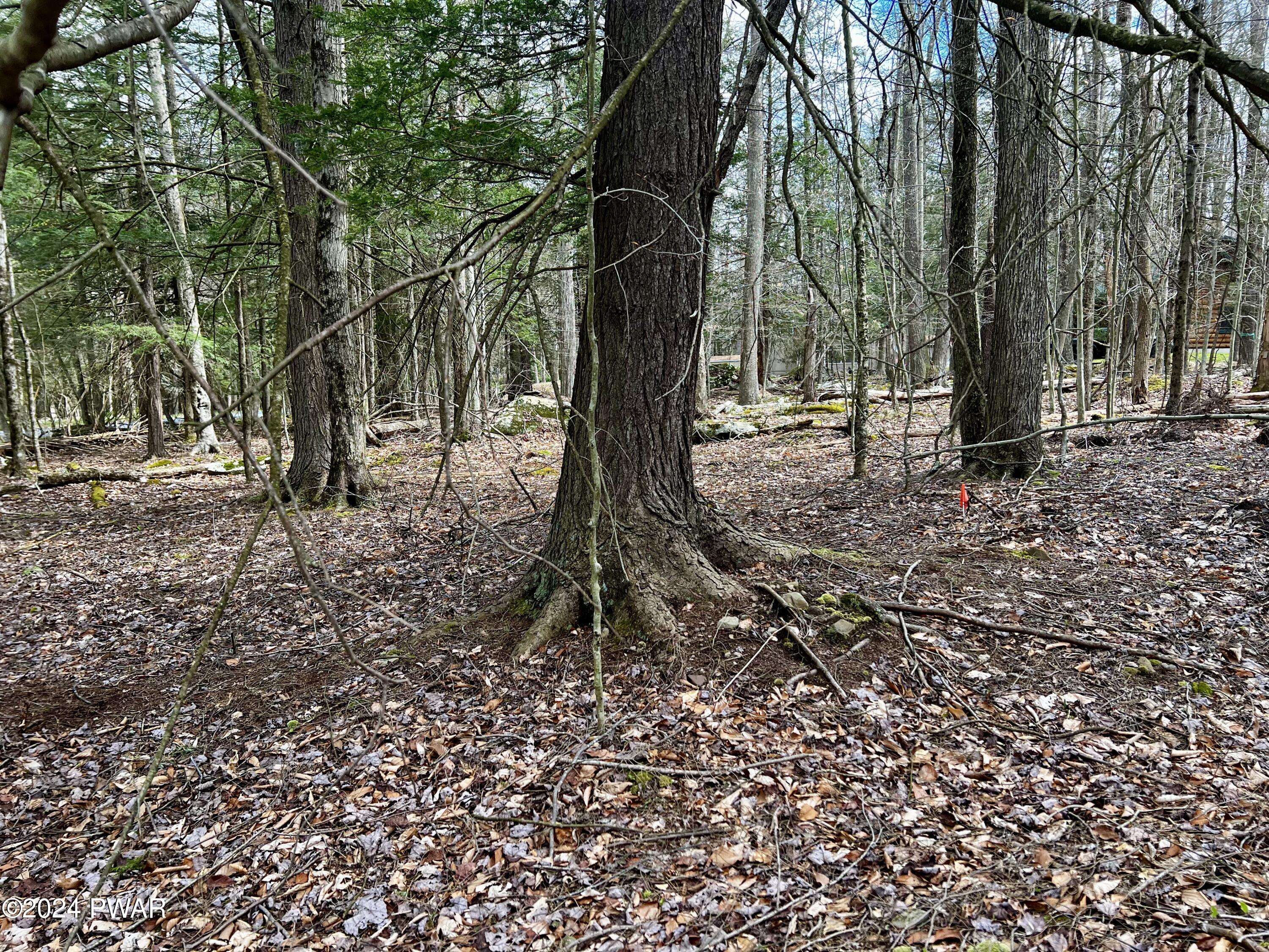 Lot 826 Fawn Rd And Lot 824 Pine Creek Road, Hawley, Pennsylvania image 6