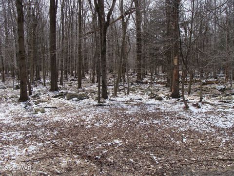 Vacant Land For Sale - Valley Road<br/> Newfoundland, PA 18445