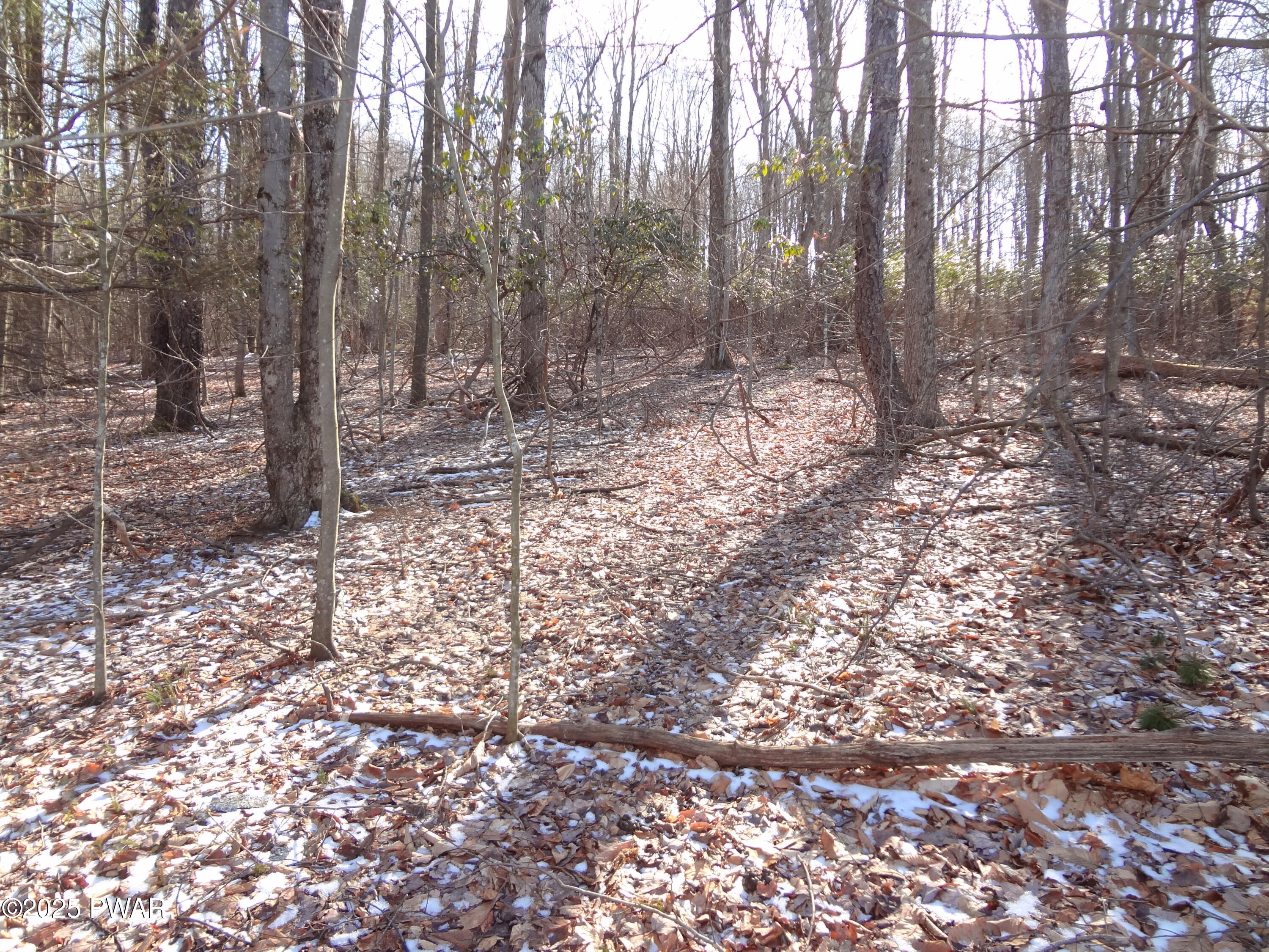Lot 240 N. Main St. & Lot 47p Keene St, Moscow, Pennsylvania image 11