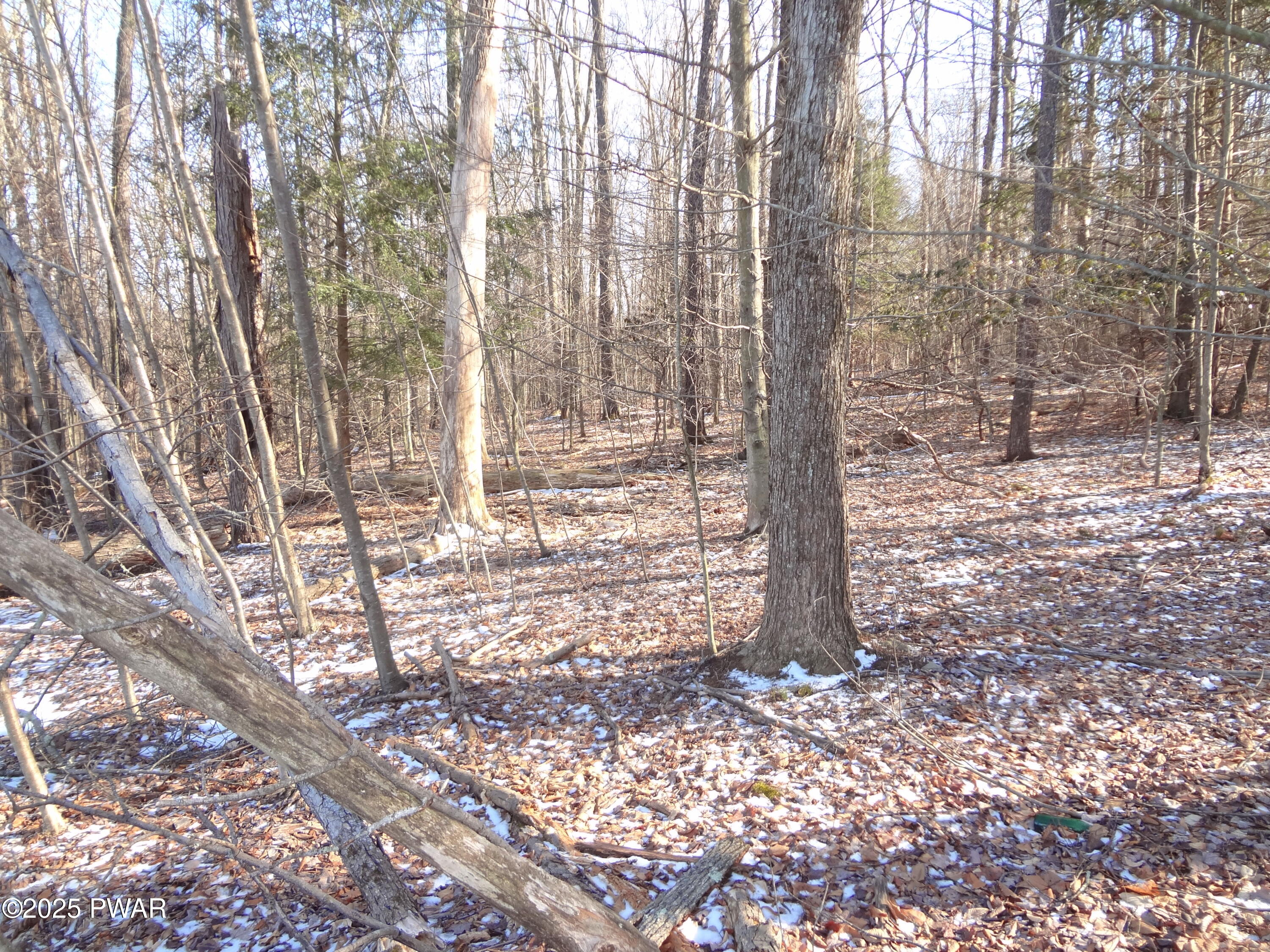 Lot 240 N. Main St. & Lot 47p Keene St, Moscow, Pennsylvania image 7