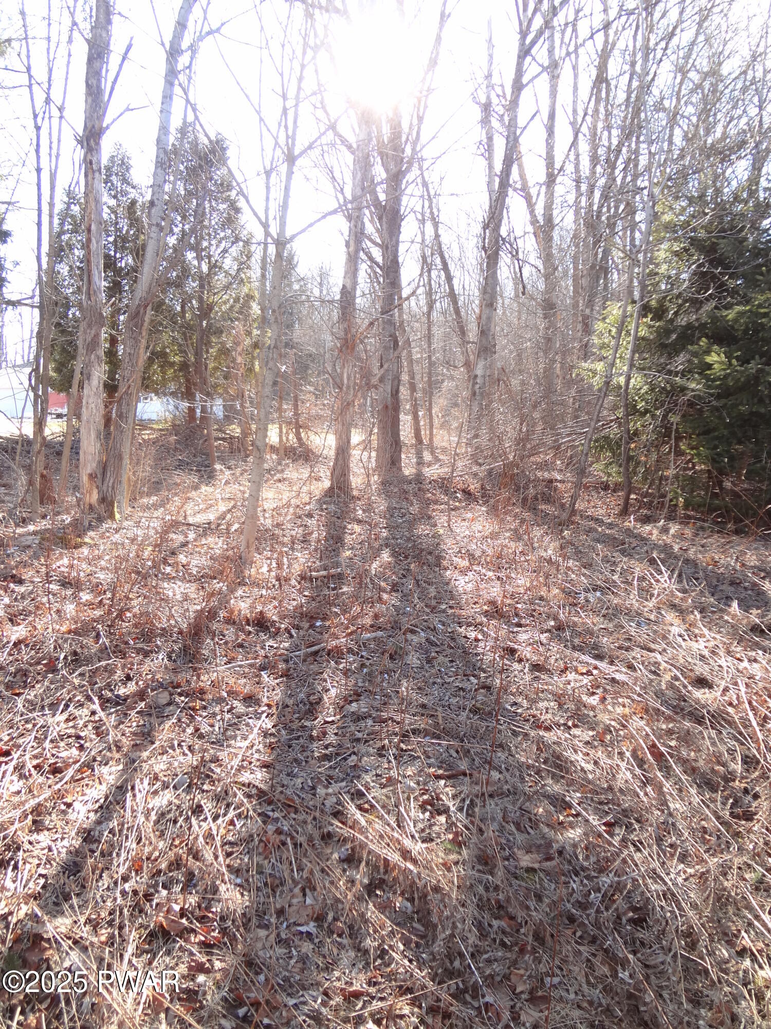 Lot 240 N. Main St. & Lot 47p Keene St, Moscow, Pennsylvania image 13