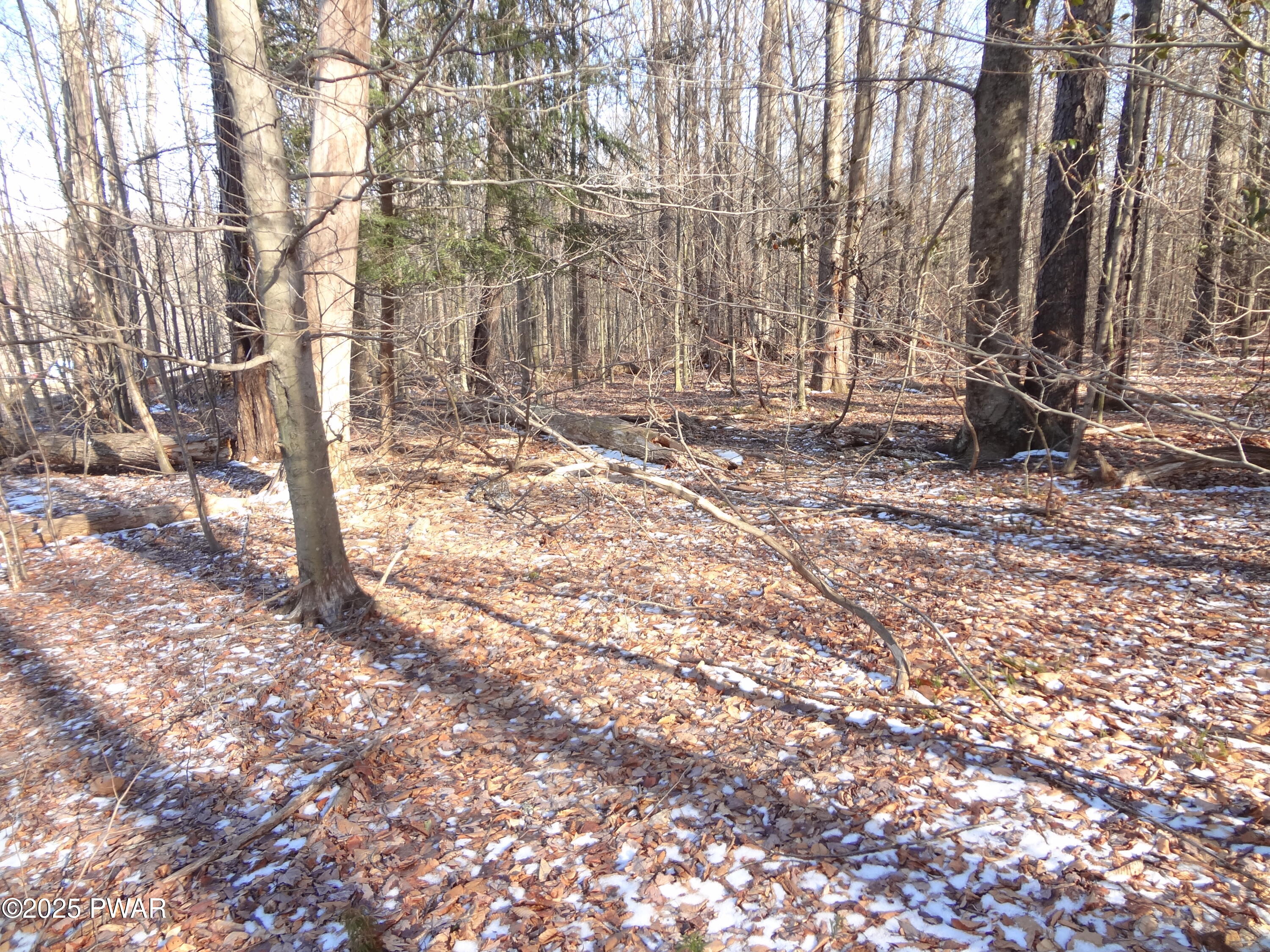 Lot 240 N. Main St. & Lot 47p Keene St, Moscow, Pennsylvania image 10