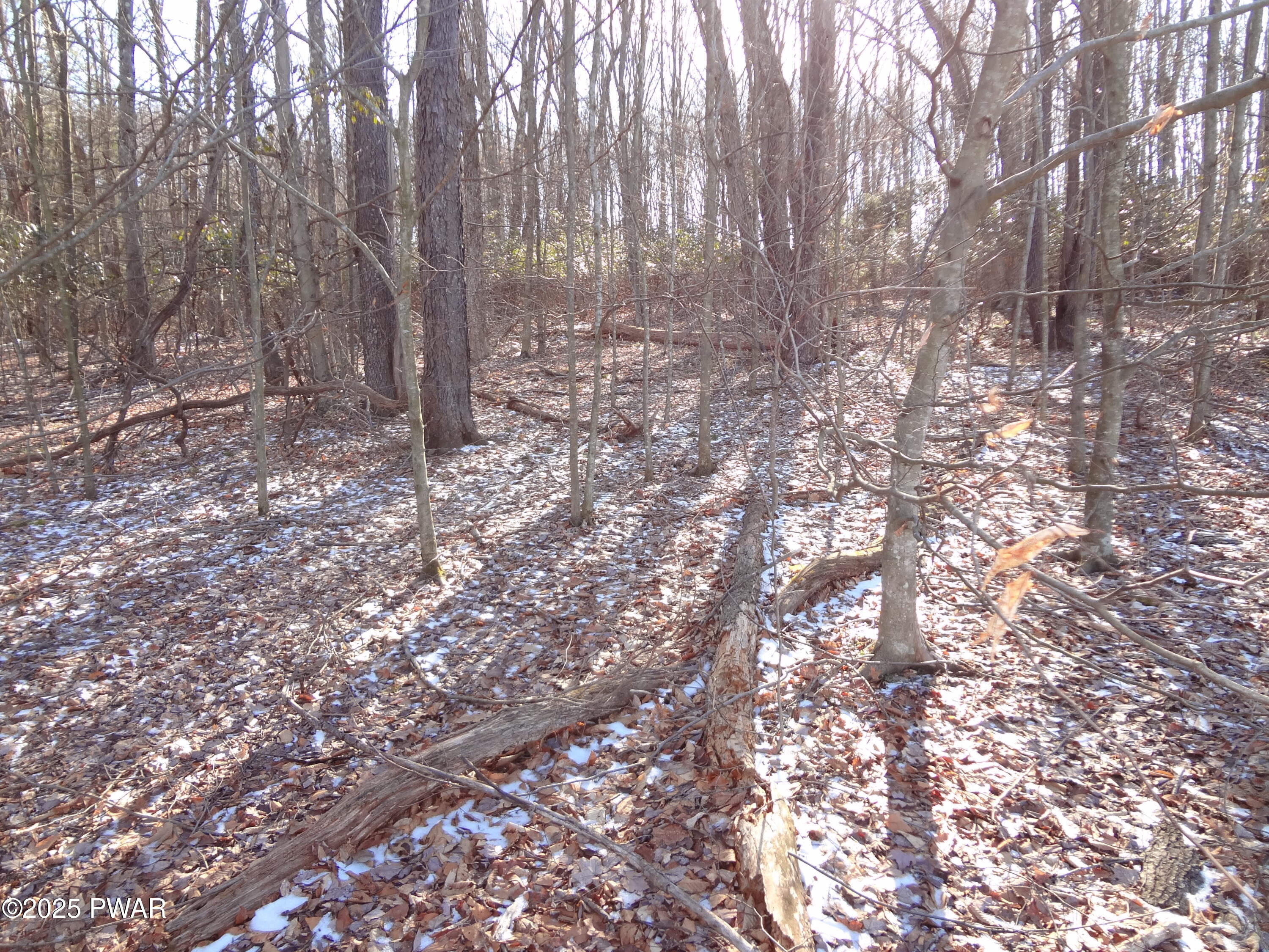 Lot 240 N. Main St. & Lot 47p Keene St, Moscow, Pennsylvania image 8