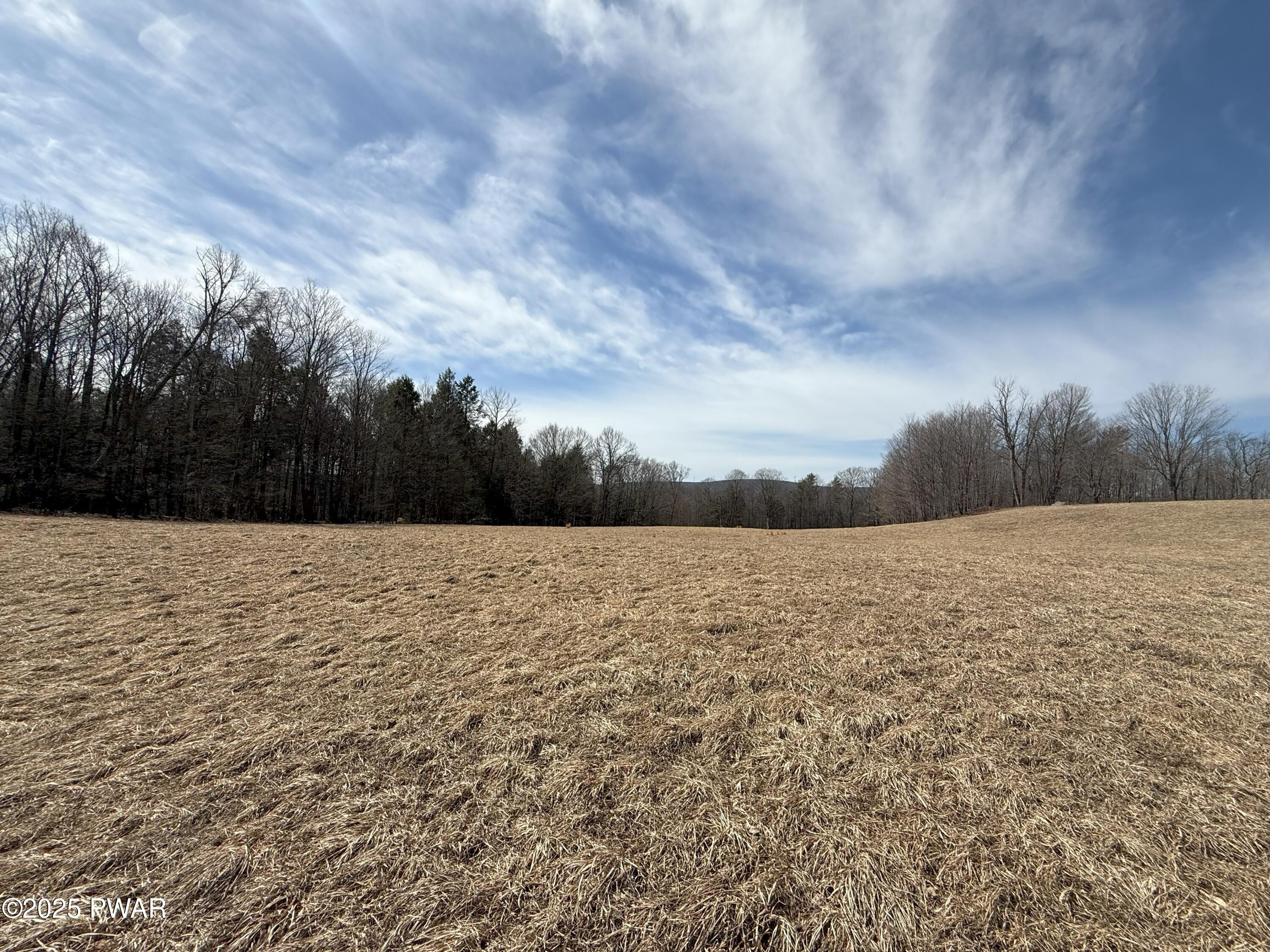 117 Elk Lake Drive, Waymart, Pennsylvania image 6