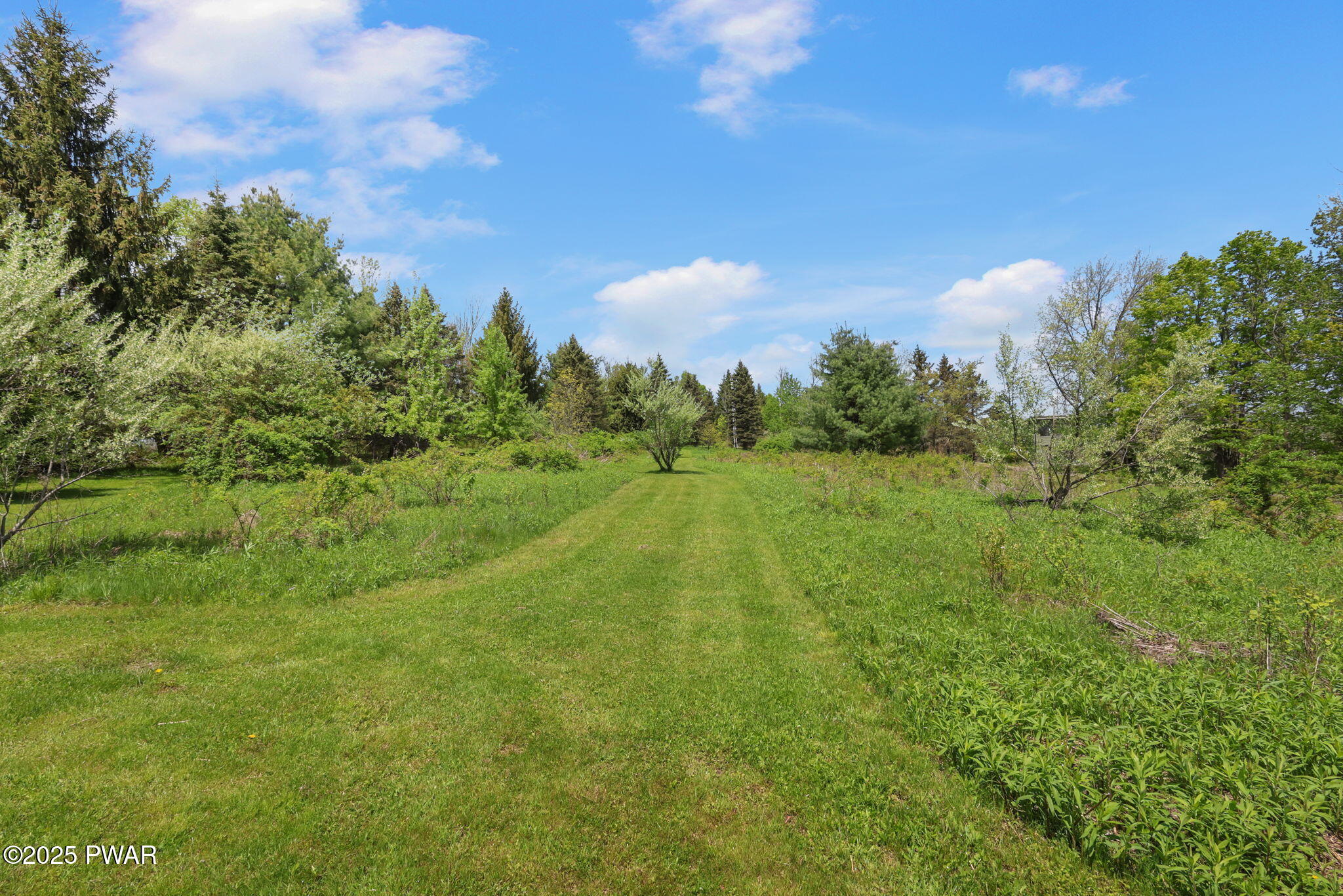 80 Bush Road, Pleasant Mount, Pennsylvania image 9
