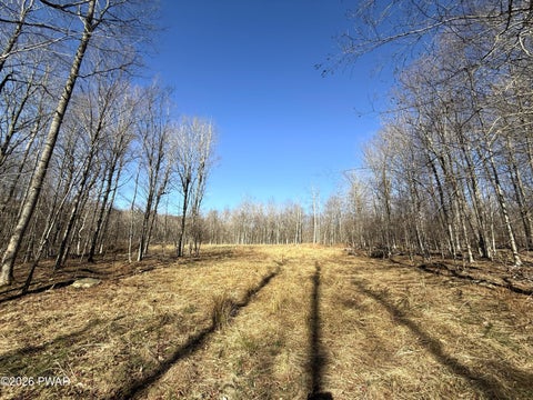 Vacant Land For Sale - LOT 23 Bridle Way<br/> Equinunk, PA 18417