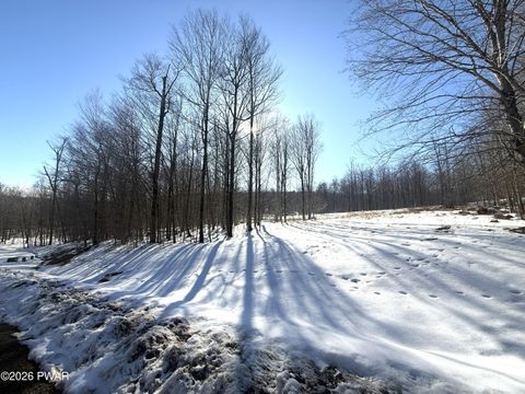 Vacant Land For Sale - LOT 23 Bridle Way<br/> Wayne County, Equinunk, PA 18417