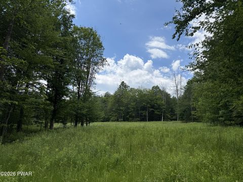 Vacant Land For Sale - LOT 23 Bridle Way<br/> Wayne County, Equinunk, PA 18417
