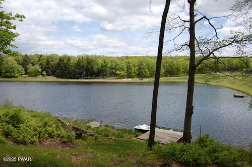 Lot 740 Mountain Drive, Greentown, Pennsylvania image 11