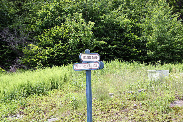 Sweetbriar Lane Lane, Equinunk, Pennsylvania image 12