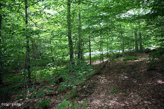 Sweetbriar Lane Lane, Equinunk, Pennsylvania image 7
