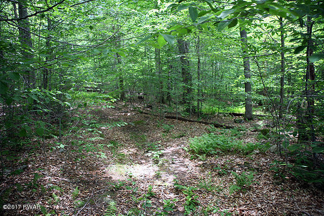 Sweetbriar Lane Lane, Equinunk, Pennsylvania image 5