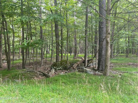Vacant Land For Sale - Lots 566 & 568 Sunrise Trail<br/> Hawley, PA 18428