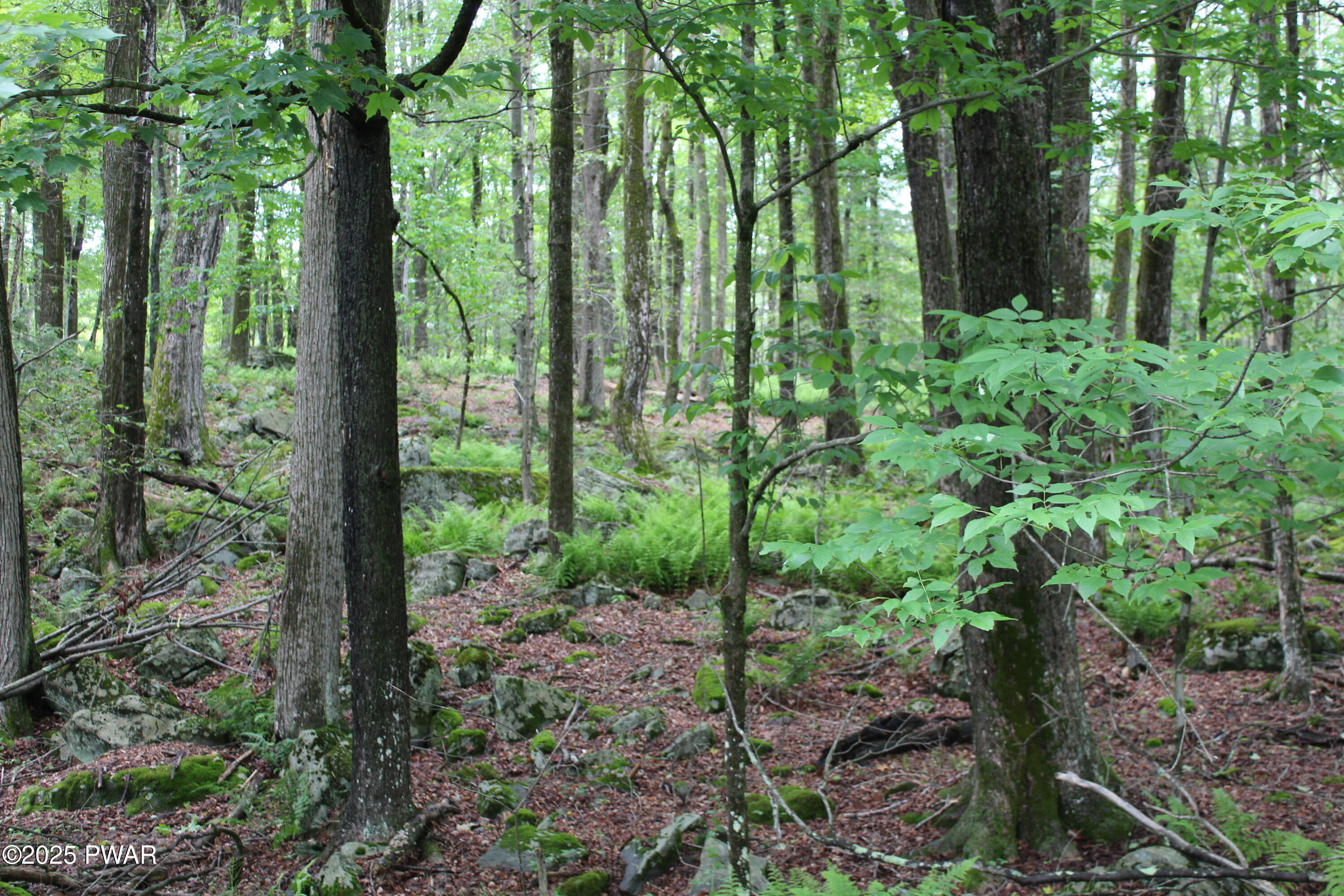 Lot 2219 Hemlock Terrace, Greentown, Pennsylvania image 1