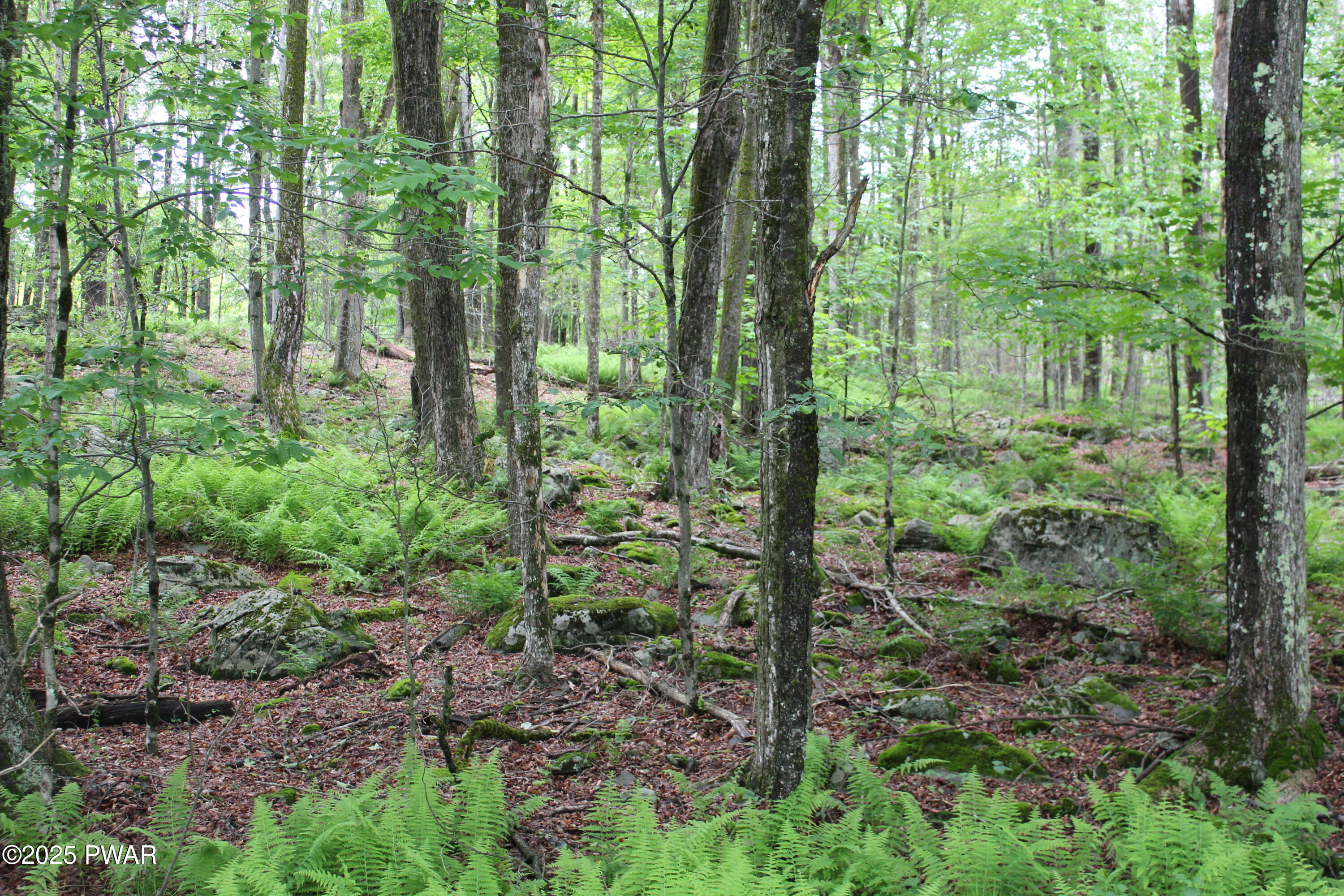 Lot 2219 Hemlock Terrace, Greentown, Pennsylvania image 2