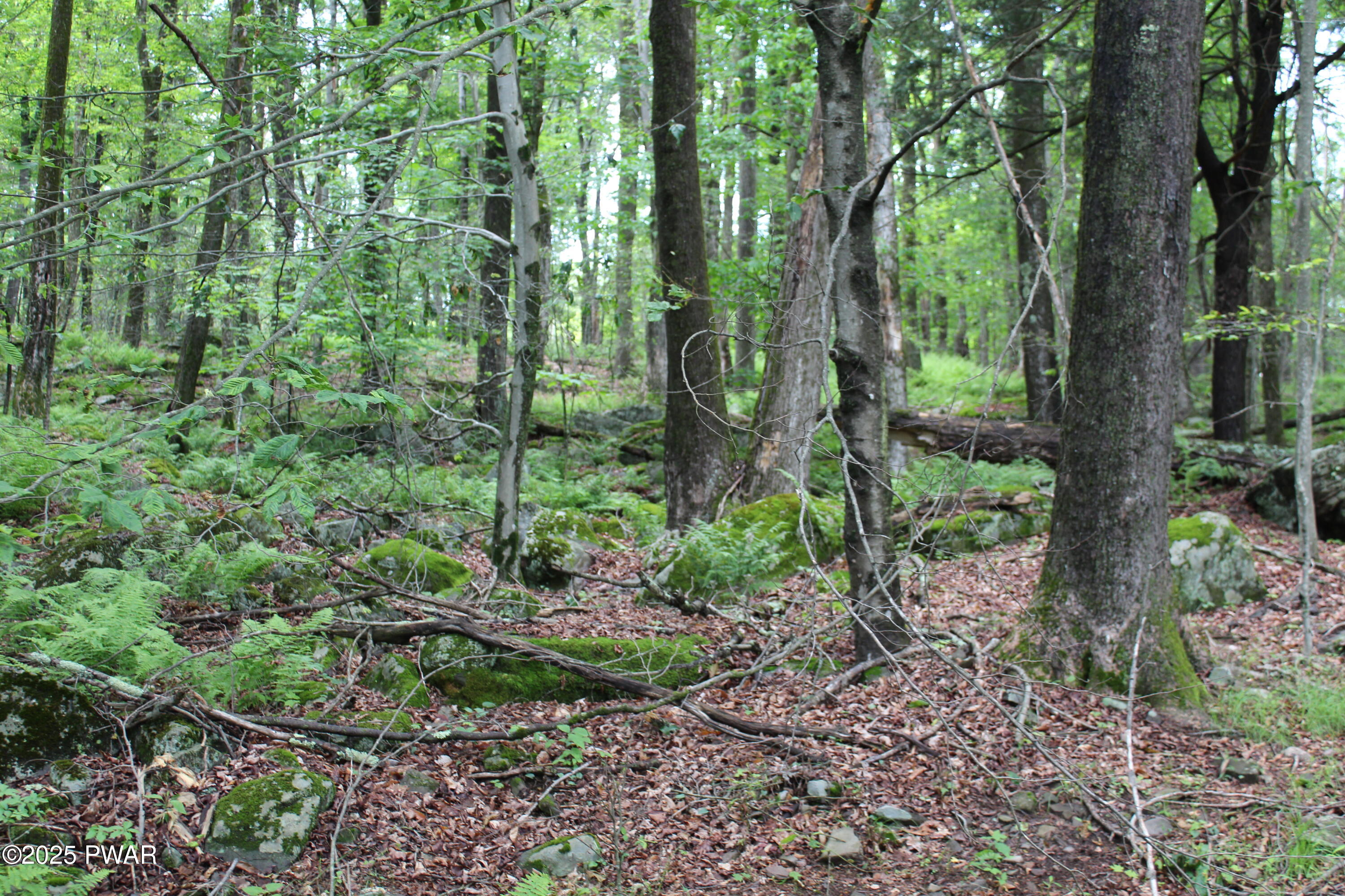 Lot 2219 Hemlock Terrace, Greentown, Pennsylvania image 3