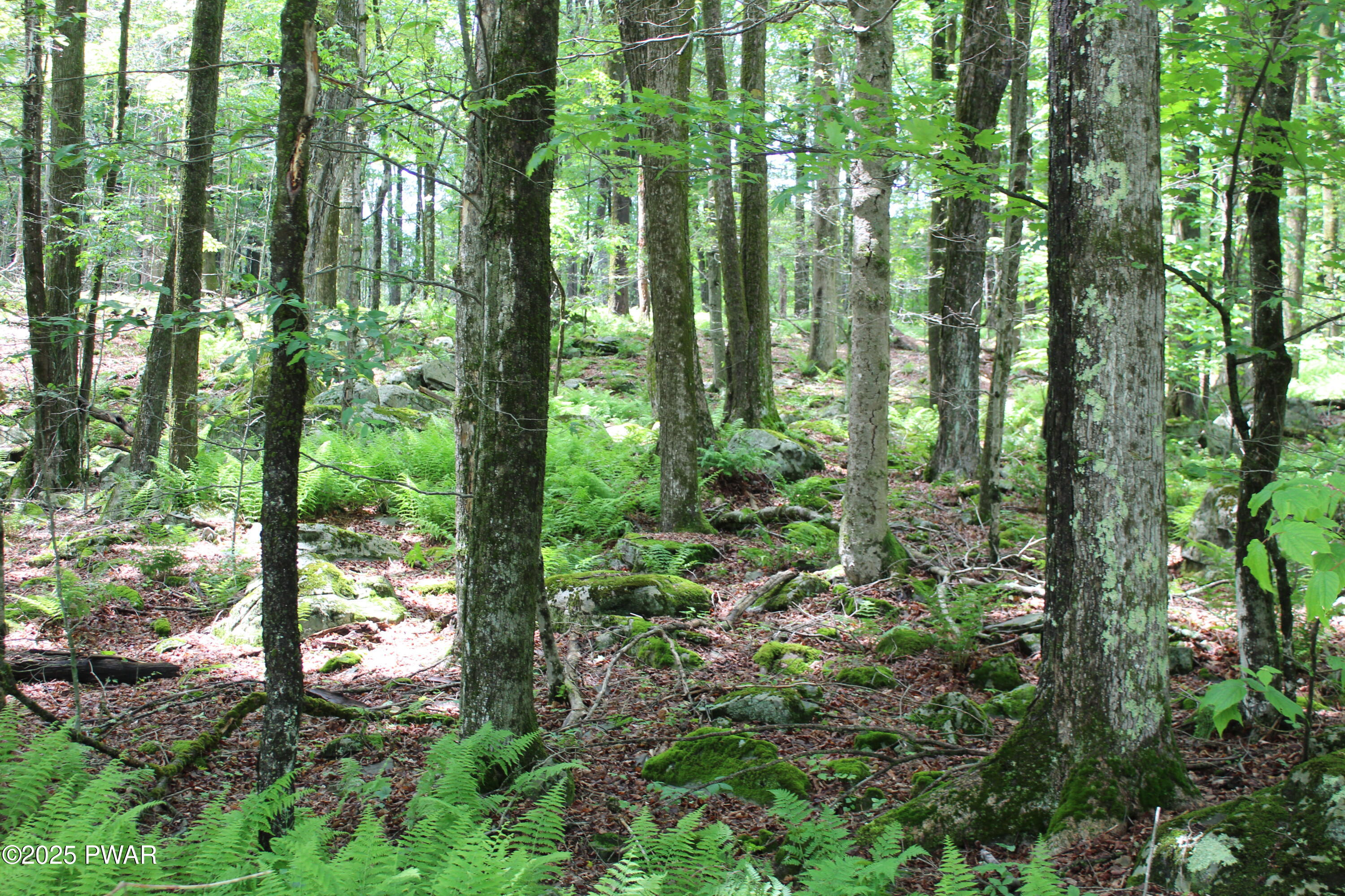 Lot 2219 Hemlock Terrace, Greentown, Pennsylvania image 6