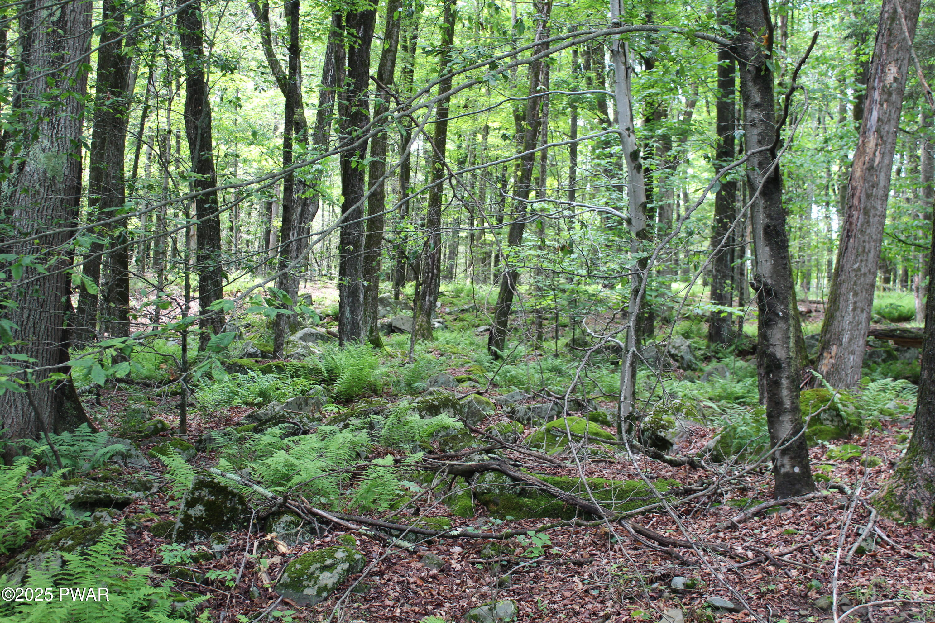Lot 2219 Hemlock Terrace, Greentown, Pennsylvania image 4