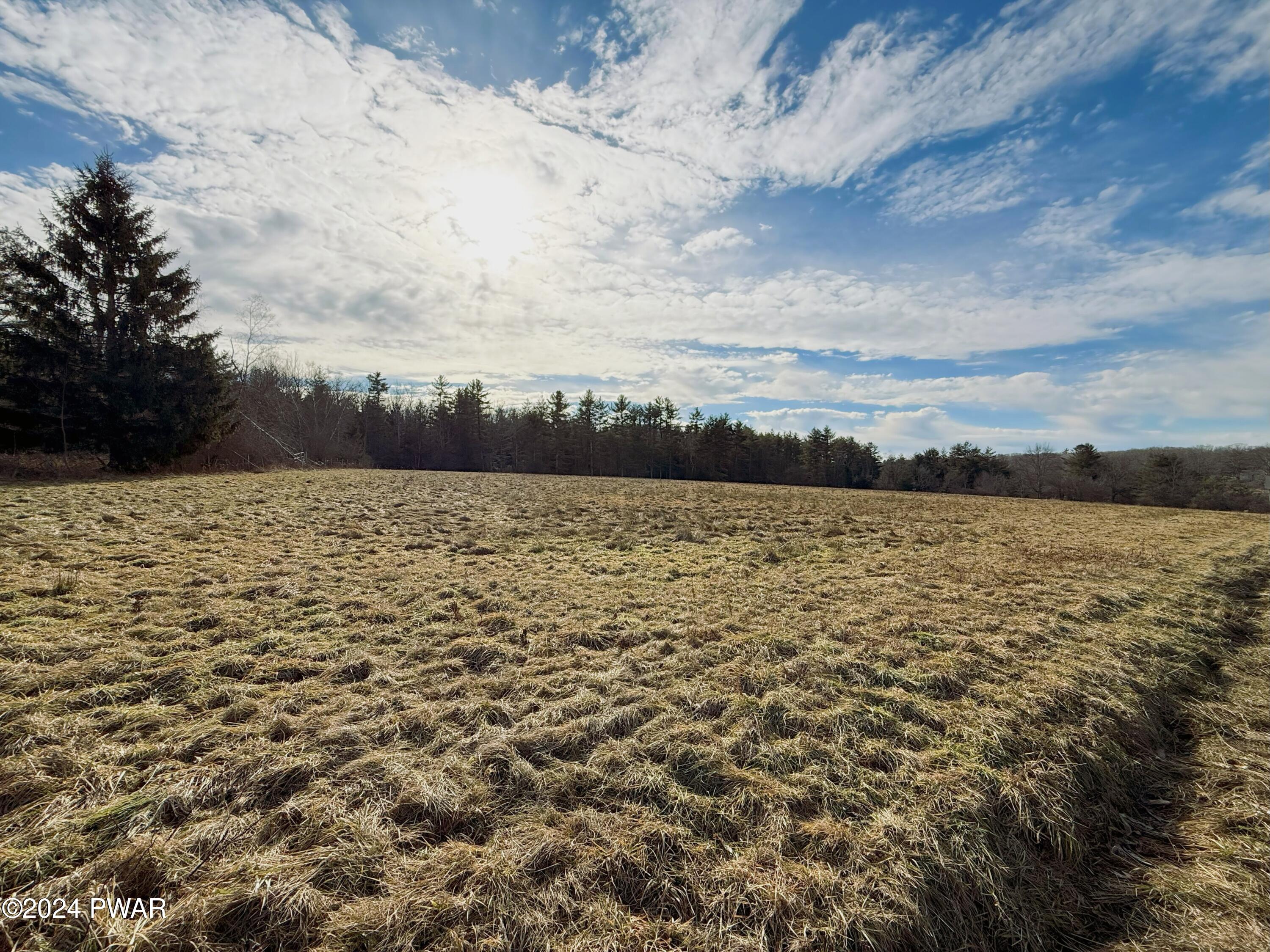 Swamp Brook Road, Hawley, Pennsylvania image 8