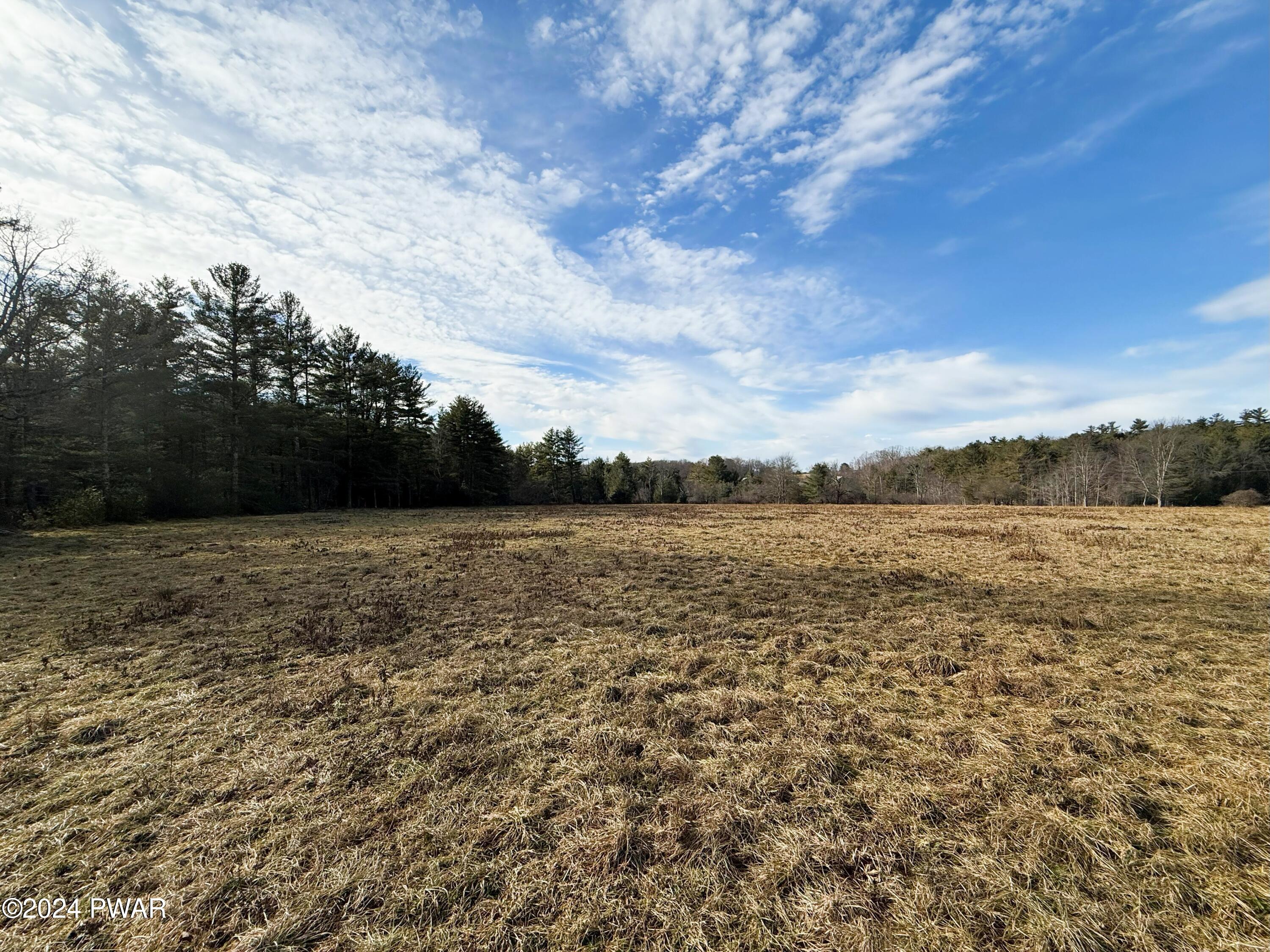 Swamp Brook Road, Hawley, Pennsylvania image 9