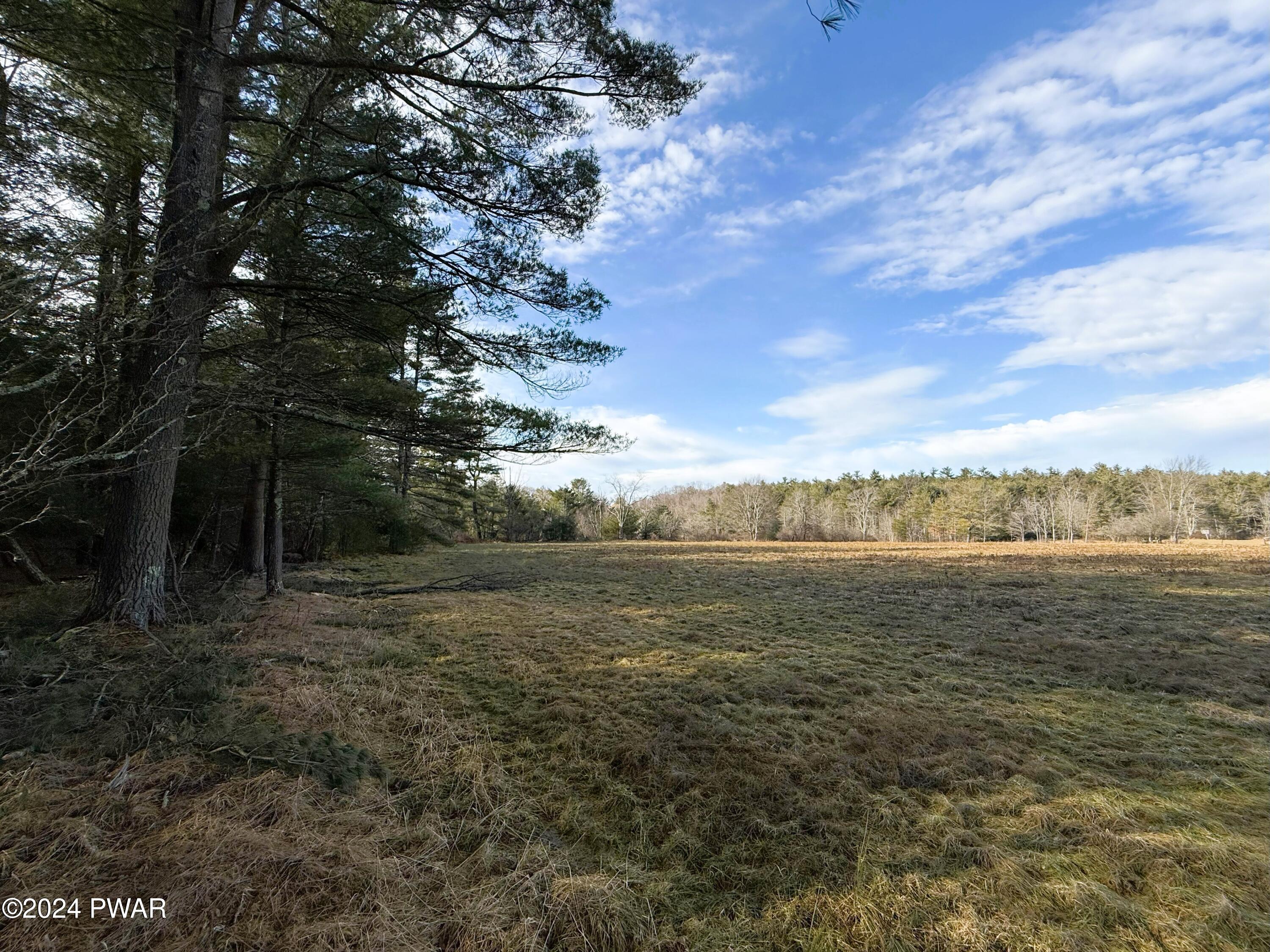 Swamp Brook Road, Hawley, Pennsylvania image 2