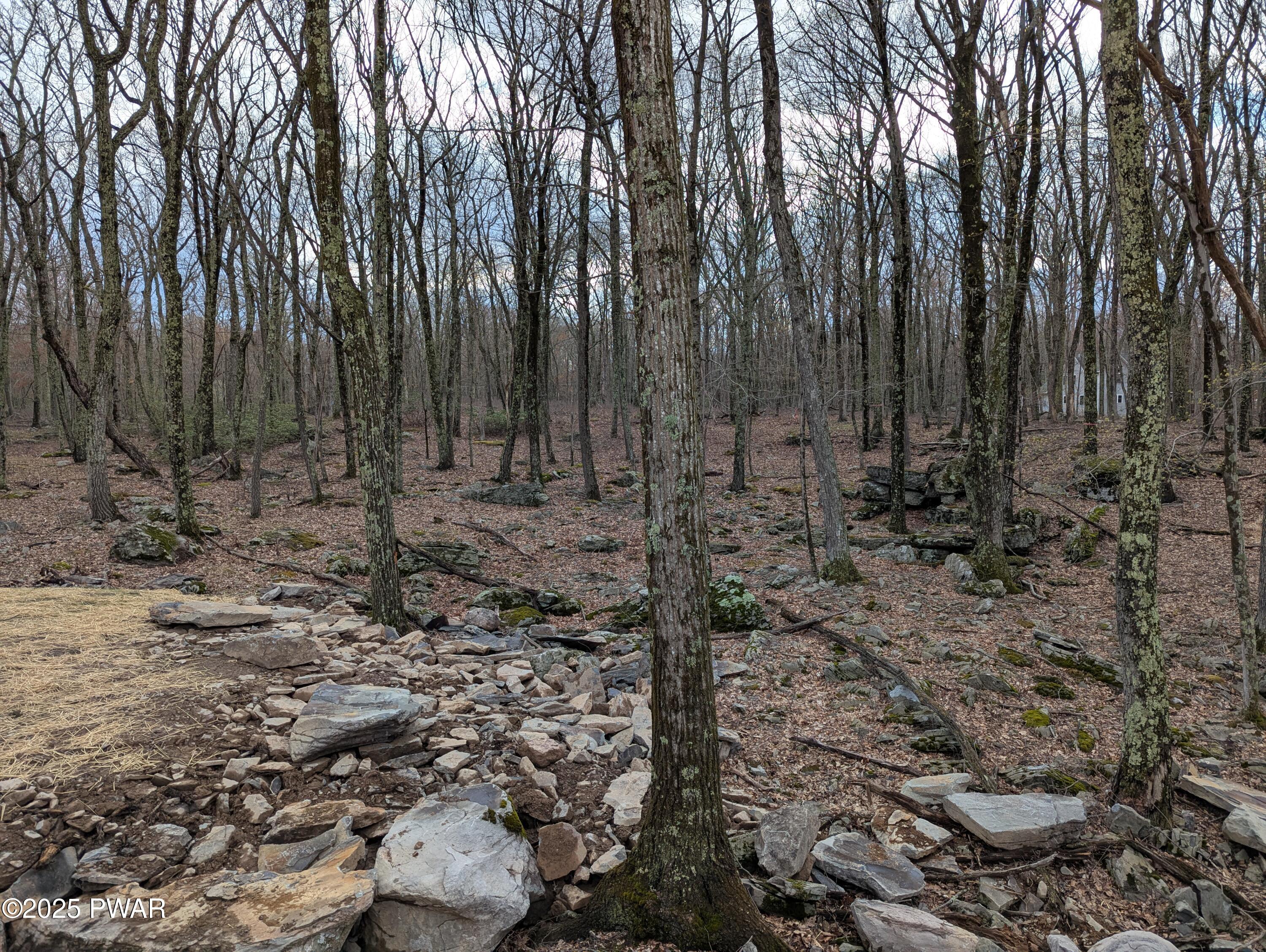 181 Philwood Lane, Milford, Pennsylvania image 6