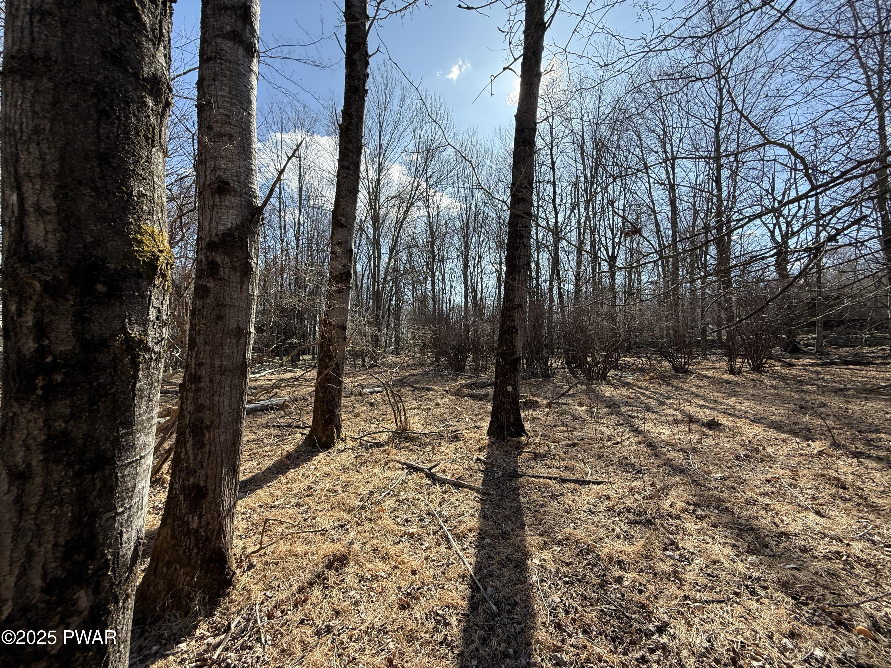Larkspur Lane, Milford, Pennsylvania image 18