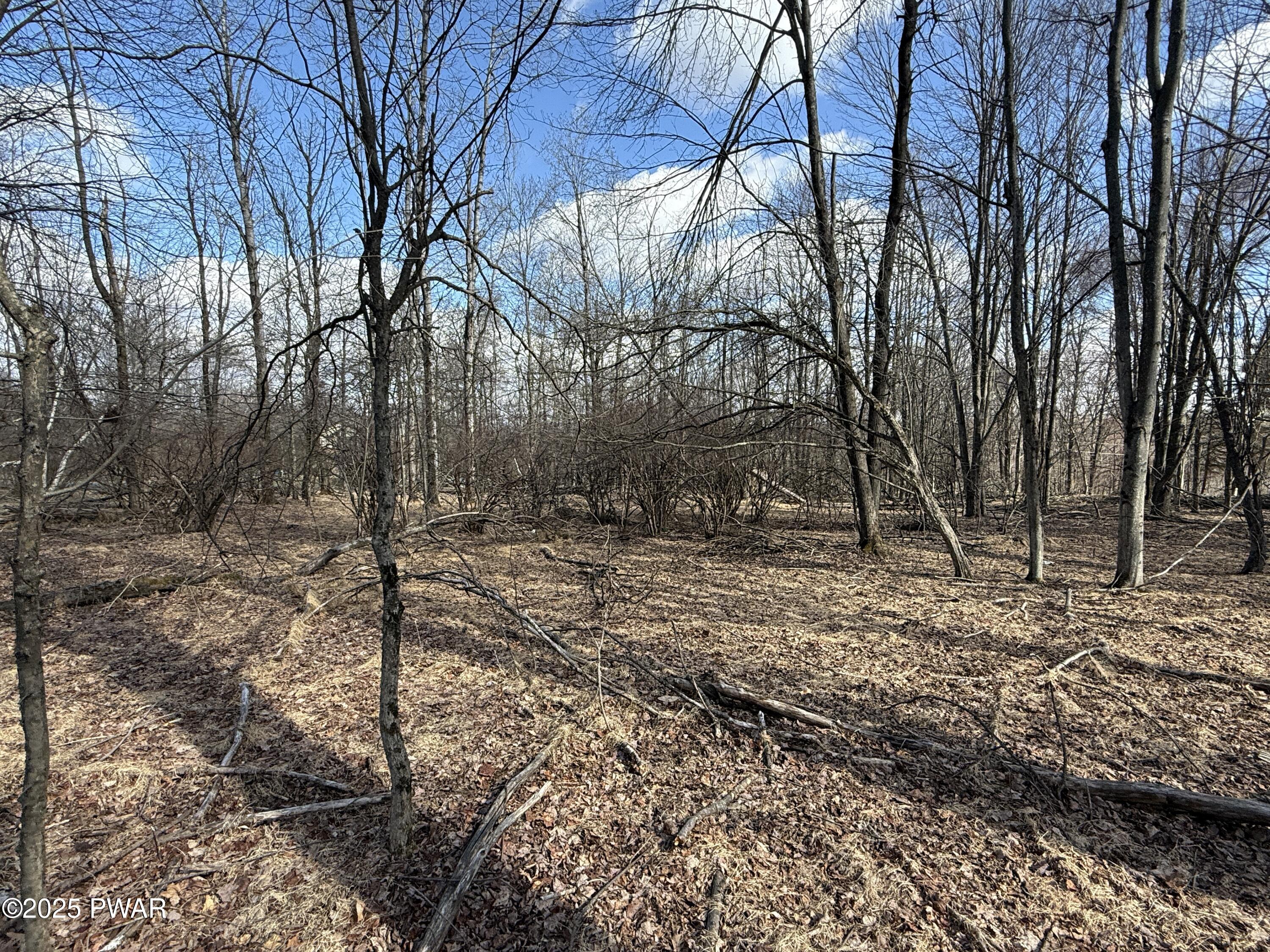 Larkspur Lane, Milford, Pennsylvania image 22