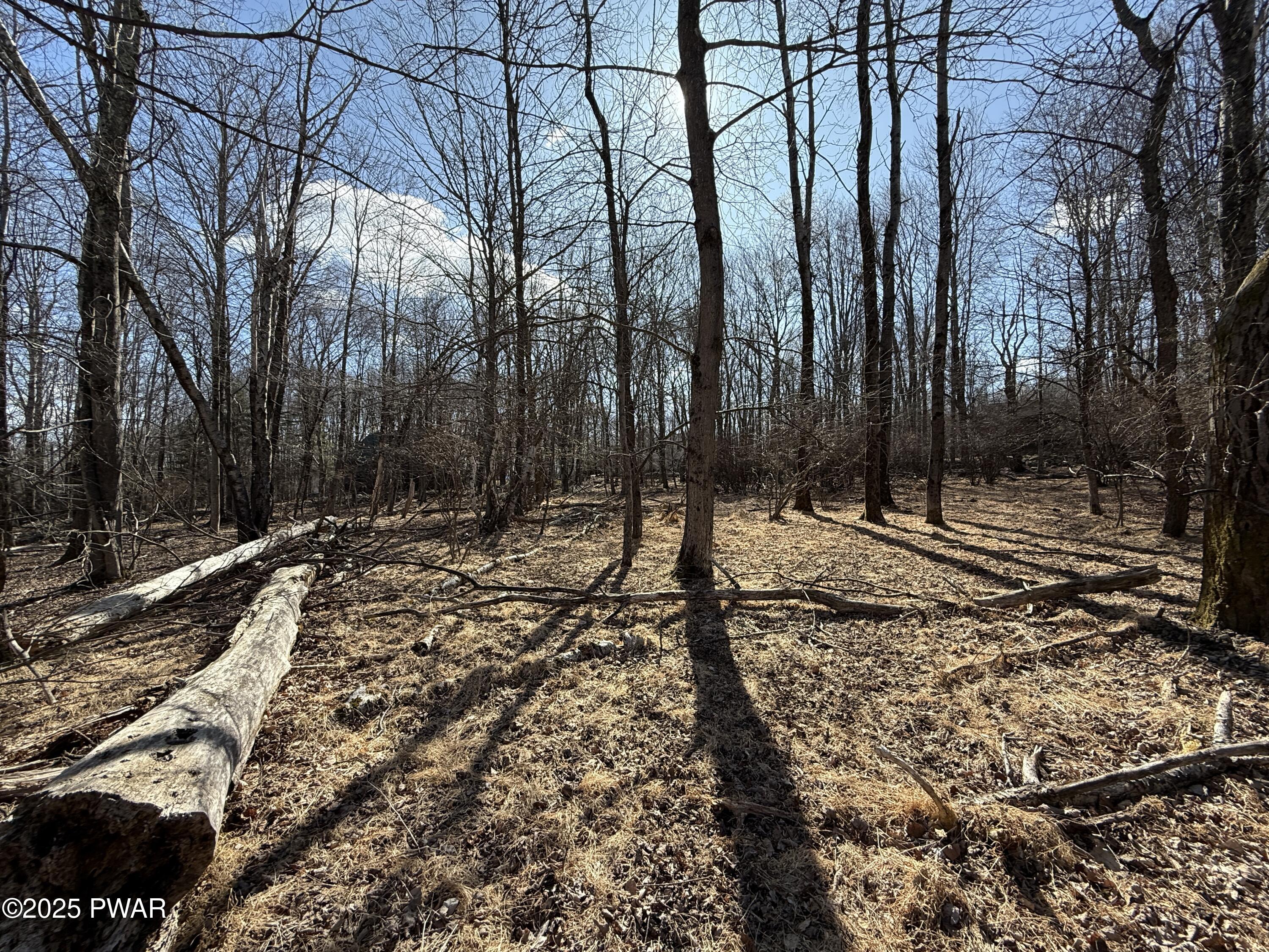Larkspur Lane, Milford, Pennsylvania image 5