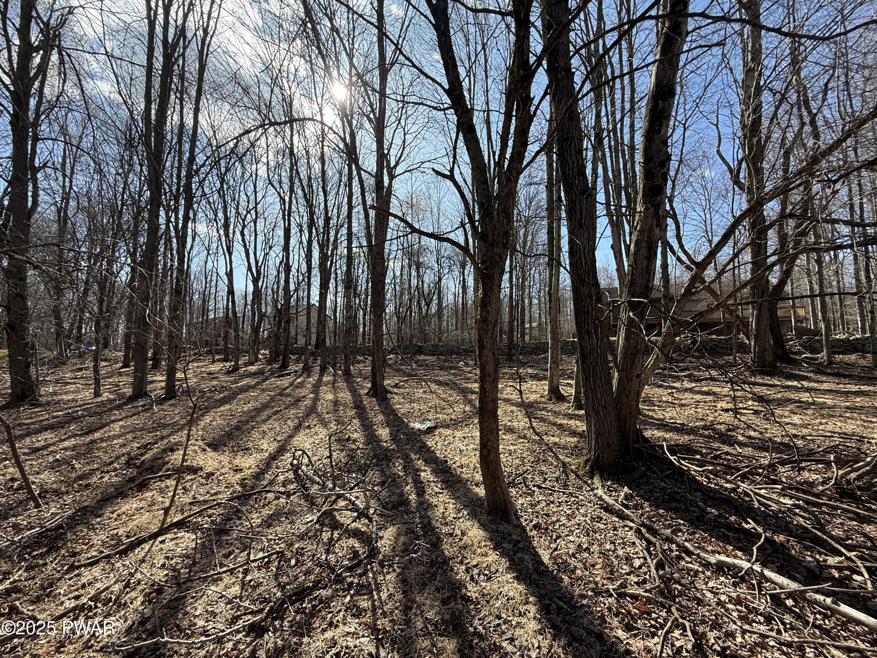 Larkspur Lane, Milford, Pennsylvania image 4