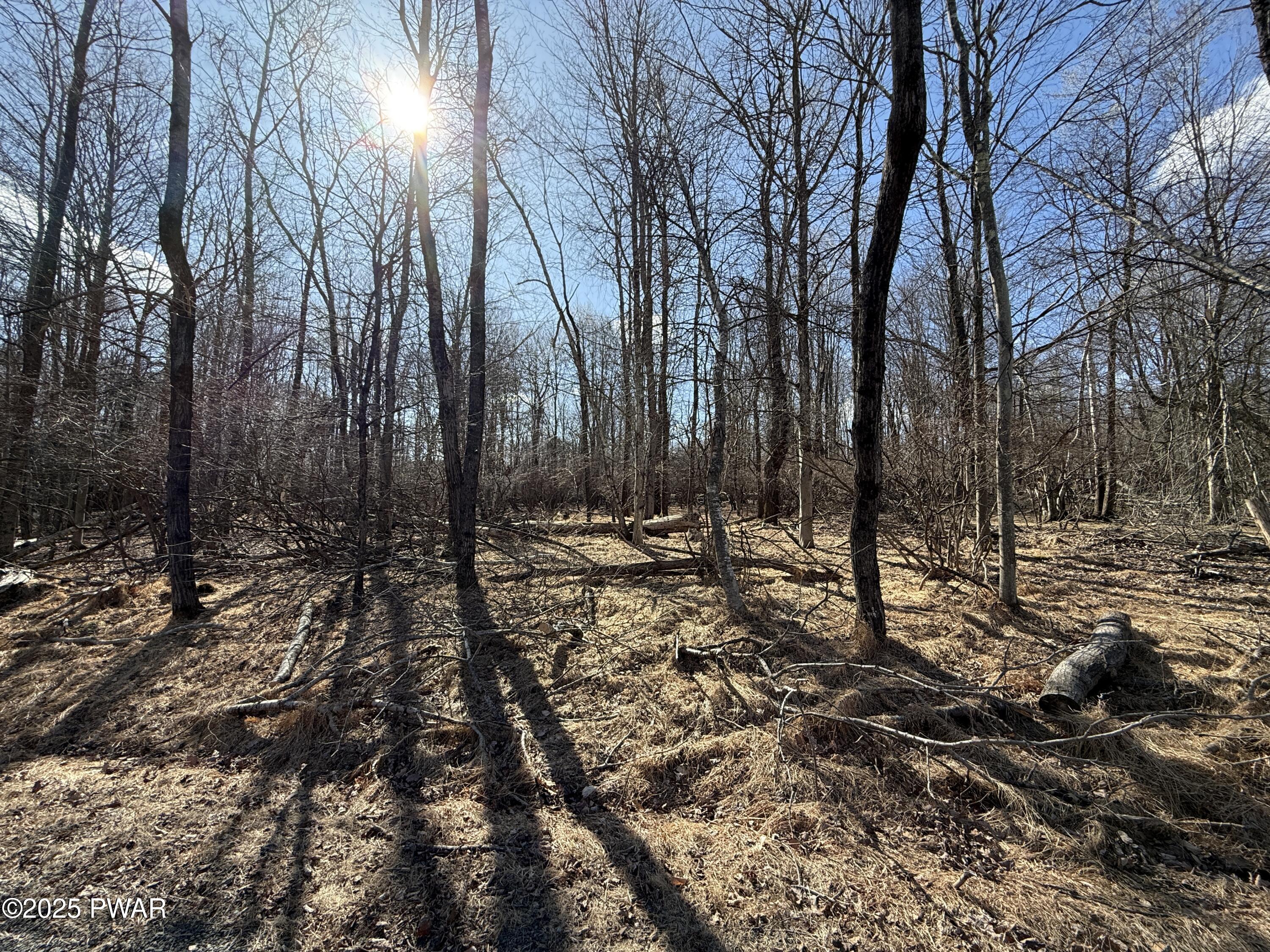 Larkspur Lane, Milford, Pennsylvania image 17
