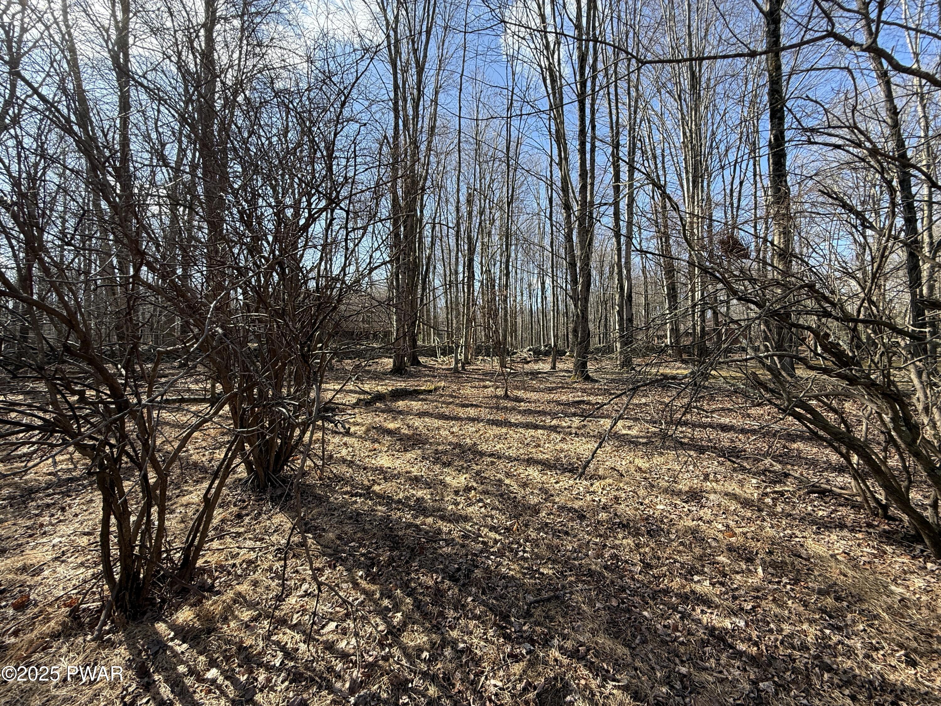 Larkspur Lane, Milford, Pennsylvania image 24